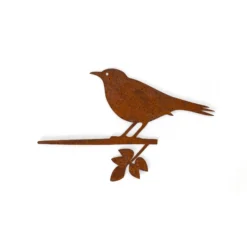 Amsel-Stecker