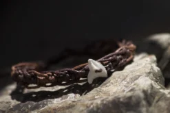 Armband 'Haizahn'