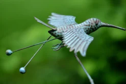 Balance-Akt 'Kolibri Klaus'