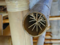 Balinesischer Rainstick