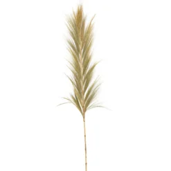 Bamboo-Pampasgras natur