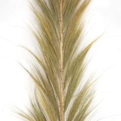 Bamboo-Pampasgras natur