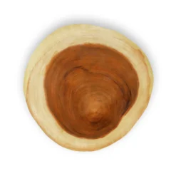 Baumscheiben-Couchtisch