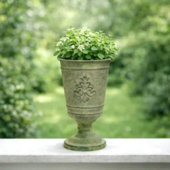 Blumen-Pokal 'Belmonte'