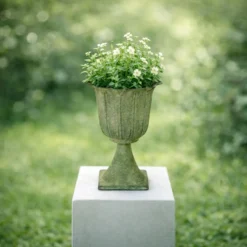 Blumen-Pokal 'Donatello'