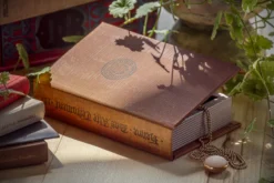 Buchhülle 'Das Alte Testament II'