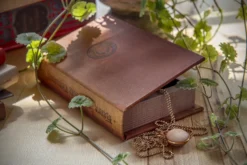 Buchhülle 'Das Alte Testament II'