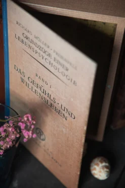 Buchhülle 'Das Gefühls- und Willensleben'