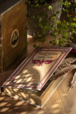 Buchhülle 'Serge Panine'