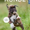 Buch 'Hunde'