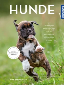 Buch 'Hunde'
