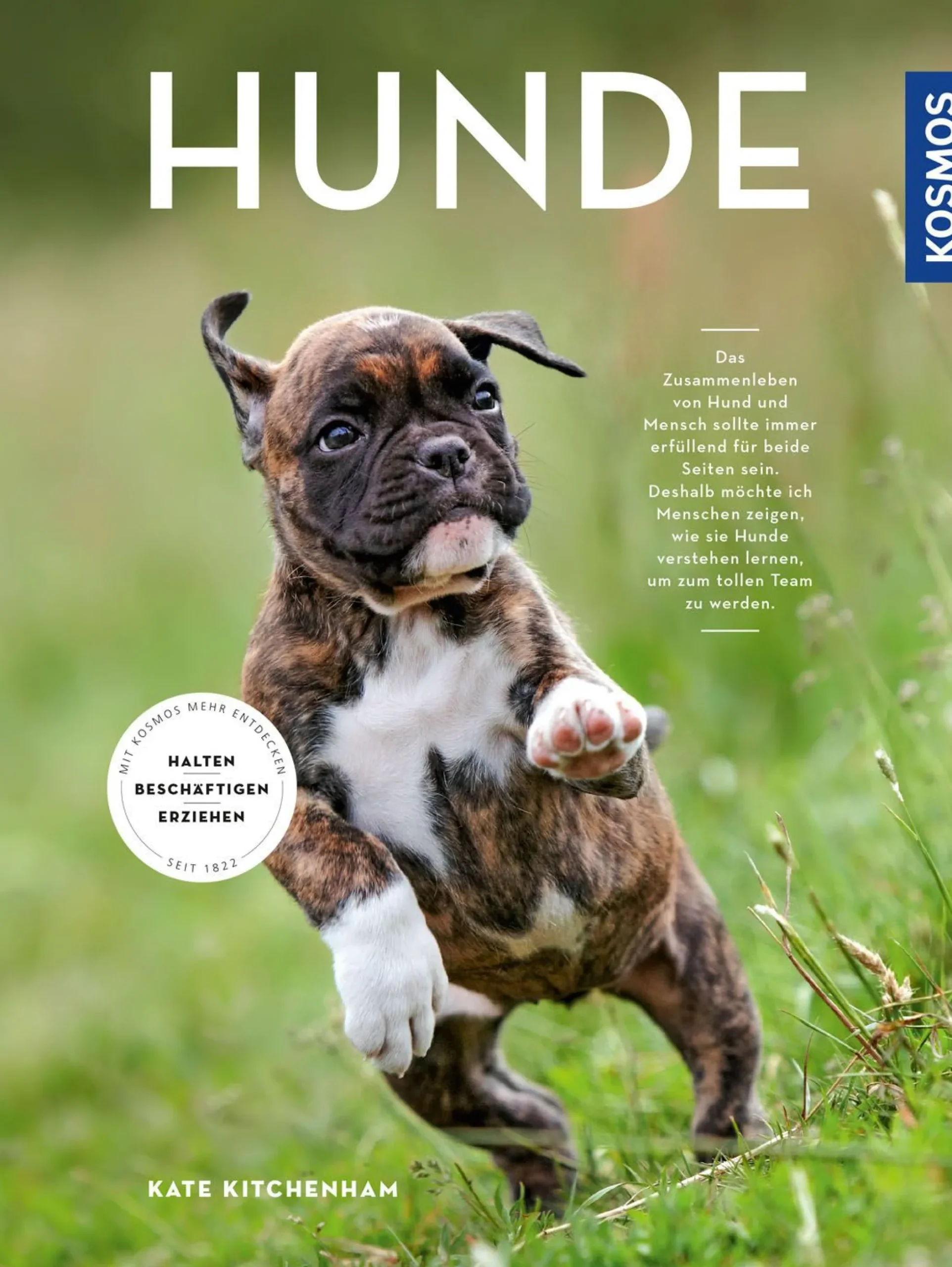 Buch 'Hunde'