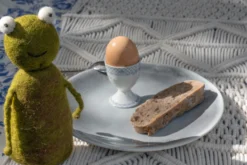 Eierwärmer 'Frosch' aus Filz