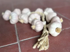 12er Knoblauch-Zopf Keramik