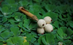 5er-Maraca aus Rattan