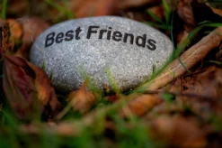 Flusskiesel 'Best Friends'