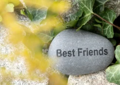 Flusskiesel 'Best Friends'