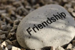 Flusskiesel 'Friendship'