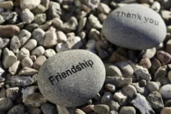 Flusskiesel 'Friendship'