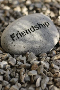 Flusskiesel 'Friendship'