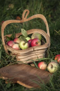 Fruchtkorb 'Apfel'