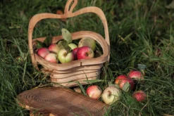 Fruchtkorb 'Apfel'