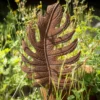 Gartenstecker 'Monstera'