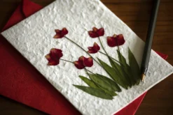 Geschenkkarte Blume Tulpe rot