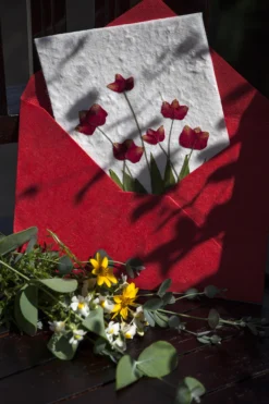 Geschenkkarte Blume Tulpe rot