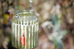Glas-Windlicht