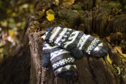 Handschuhe