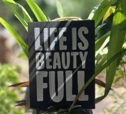 Holzschild 'Life is beauty full'