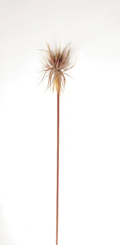 Kunstpflanze 'Papyrusgras' braun