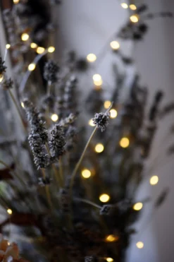 Lichterschnur 'Greville'