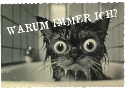 Postkarte 'Warum immer ich?'