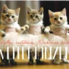 Postkarte 'Weitertanzen!'