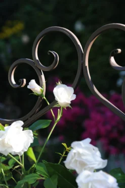 Rankgitter 'Felicienne'