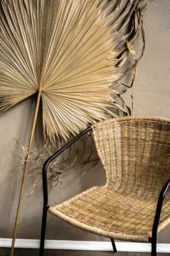 Rattan-Stuhl 'Bender'