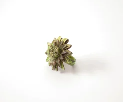 Ring Blume Leder
