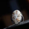 Ring 'Muschelspirale'