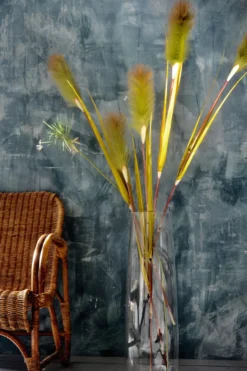 Schilfgras mit Blüte