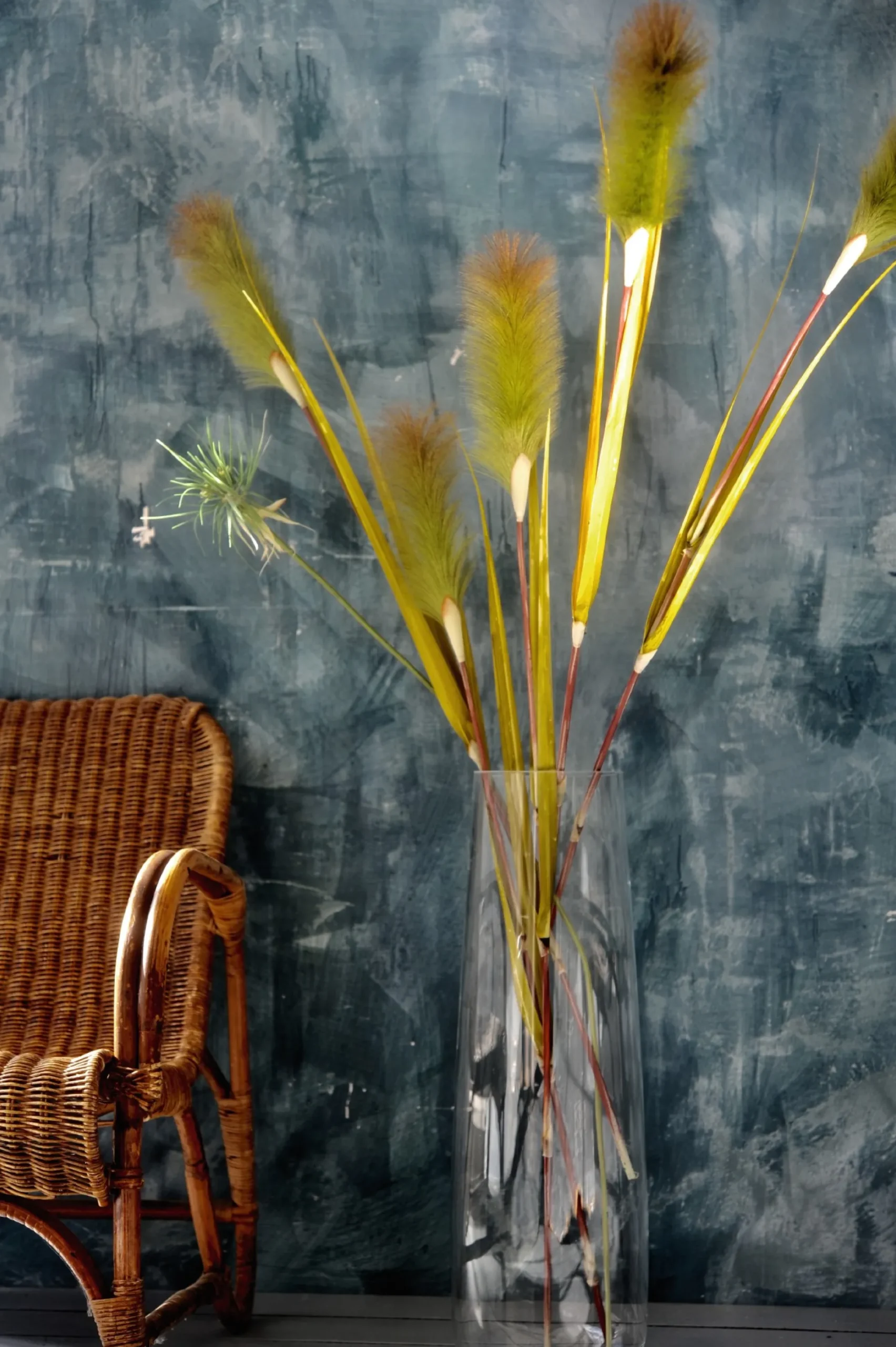 Schilfgras mit Blüte