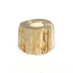 Teelichthalter aus versteinertem Holz