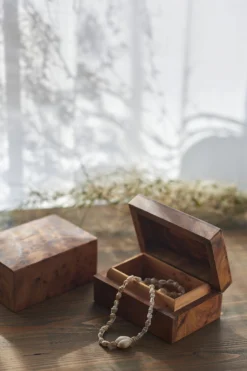 Thuja Box