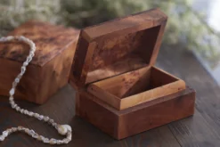 Thuja Box