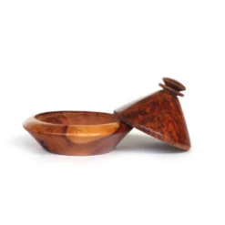 Thuja Box 'Schmuck-Tajine'