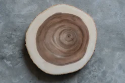 Tischset 'Baumstamm'