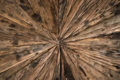 Truhe aus altem Holz