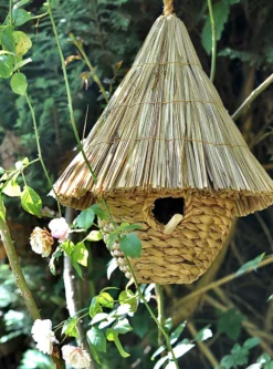 Vogelhaus aus Wasserhyazinthe