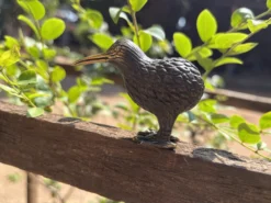 Vogelstatue 'Kiwi'